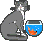 GIF-Animationen -Katzen-