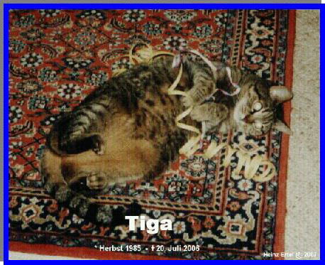 Tiga