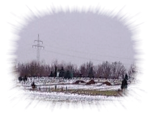 Winter 2010